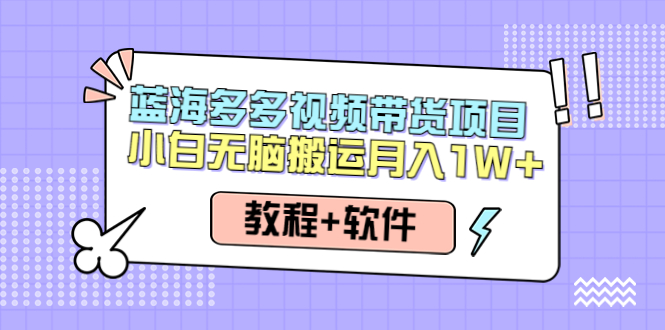 （4343期）人人都能操作的蓝海多多视频带货项目 小白无脑搬运月入10000+（教程+软件）